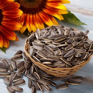طرح توجیهی فنی و مالی و اقتصادی فرآوری تخم آفتابگردان